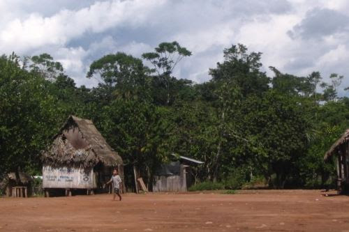 Lee más sobre el artículo Diálogos sobre la memoria y resistencia indígena amazónica para reflexionar